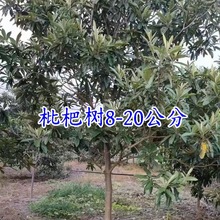 ˾Gľ ˘˘G˘ @G ذl؛