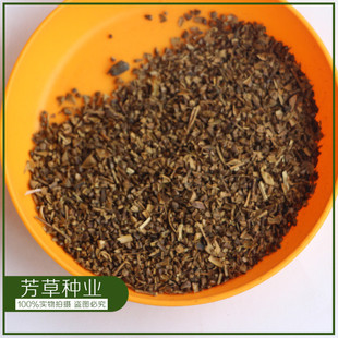 百日紅種子圖片 海量高清百日紅種子圖片大全 阿里巴巴