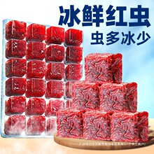 �t�x�����t���x���ǿ����~ʳ�S���r�\���~�Z�m�ی����^�p�~���