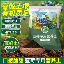 蓝莓专用土壤果树苗盆栽地栽苔藓基质酸性松针树皮泥炭配方营养土