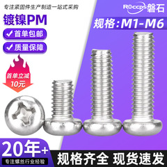 ニッケルメッキ電子小ネジ PM 十字皿頭丸頭小ネジボルト M1M2.5M2.6M3.5M4M5