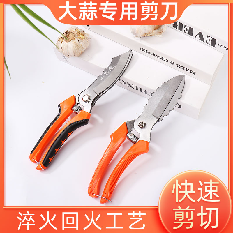 ly农用大蒜圆葱剪刀干湿蒜杆蒜胡蒜须工具大蒜剪蒜头剪蒜