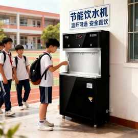 商用直饮机工厂单位公共饮水机 温热节能反渗透五级净水开水器