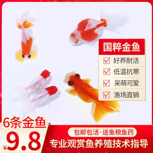 ���~���w�~�^�p�~��ˮ�~�~���~ʳ�\���~�絭ˮ�~С���~���ֺ��B��