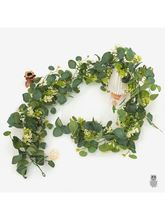 ?�����Gֲ�ȼ����ٗl�Ҿ��b��{�����ڳ������Gɫֲ��