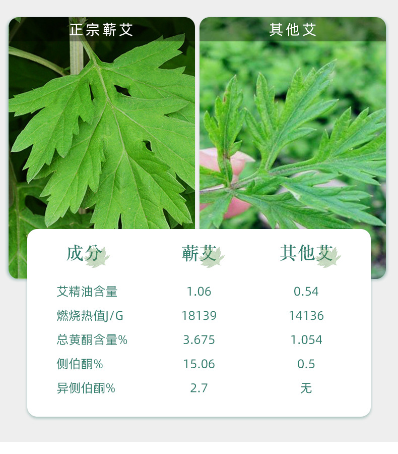 Qiren Tang Qiai Steam Eye Mask Wormwood Herbal Eye Patch Disposable Warm Compress 5 Patches Per Box preparation