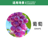 Луна орхидеи высока, пик солнечной розы увеличивает сахар и увеличивает урожай, виноградный порошок ингибирует смягчение фруктов.