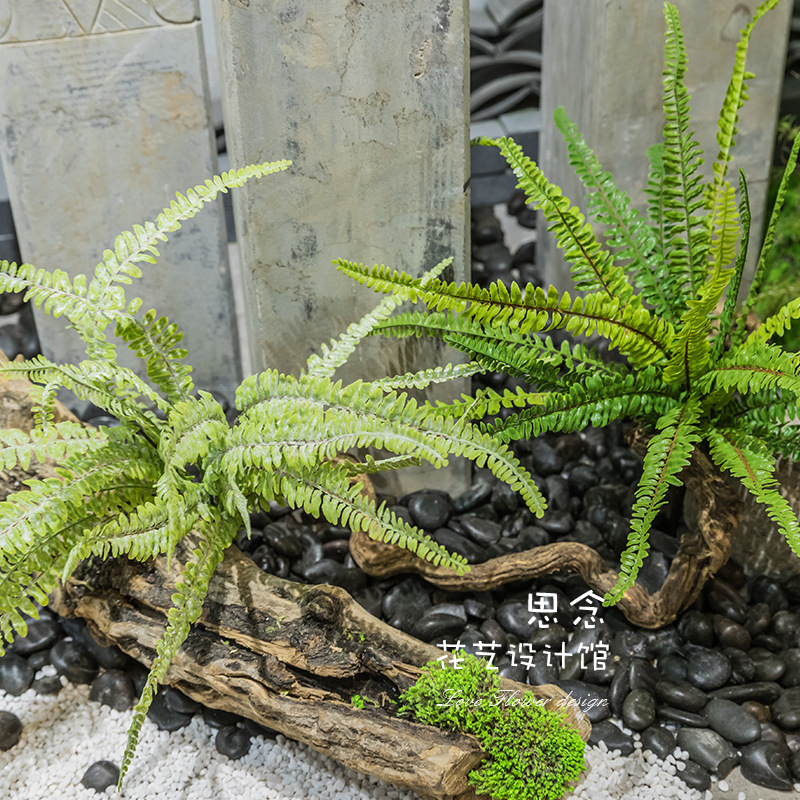 仿真绿植仿真绿叶植物墙蕨草 景点绿草搭配仿真假叶子假花绢花草