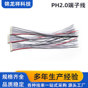 Ph2.0 Energy Storage Terminal Wiring Harness Protection Board Wiring Harness 1007 Digital Wire 2-18 Strings Bms Collection Line Point Uv Glue