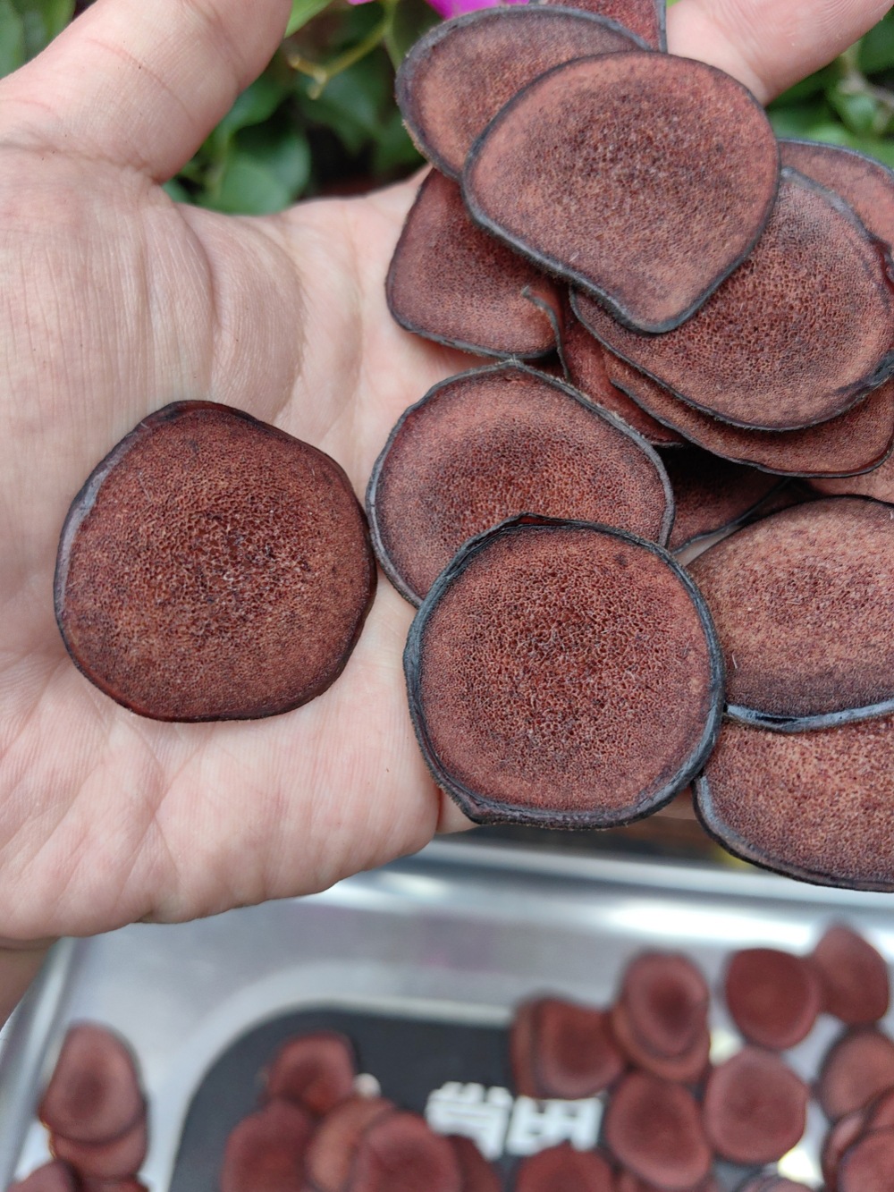 Deer Antler Blood Slices Lu Rong Xue Pian 50g Dried Slices for Soup and Wine Infusion in use