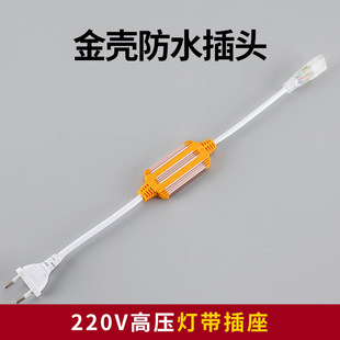 Led Three-Wire Patch Lamp with Controller Three-Core Single-Color Jump Power Plug Static Color-Changing Two-Tone Lighting Micro-Control
