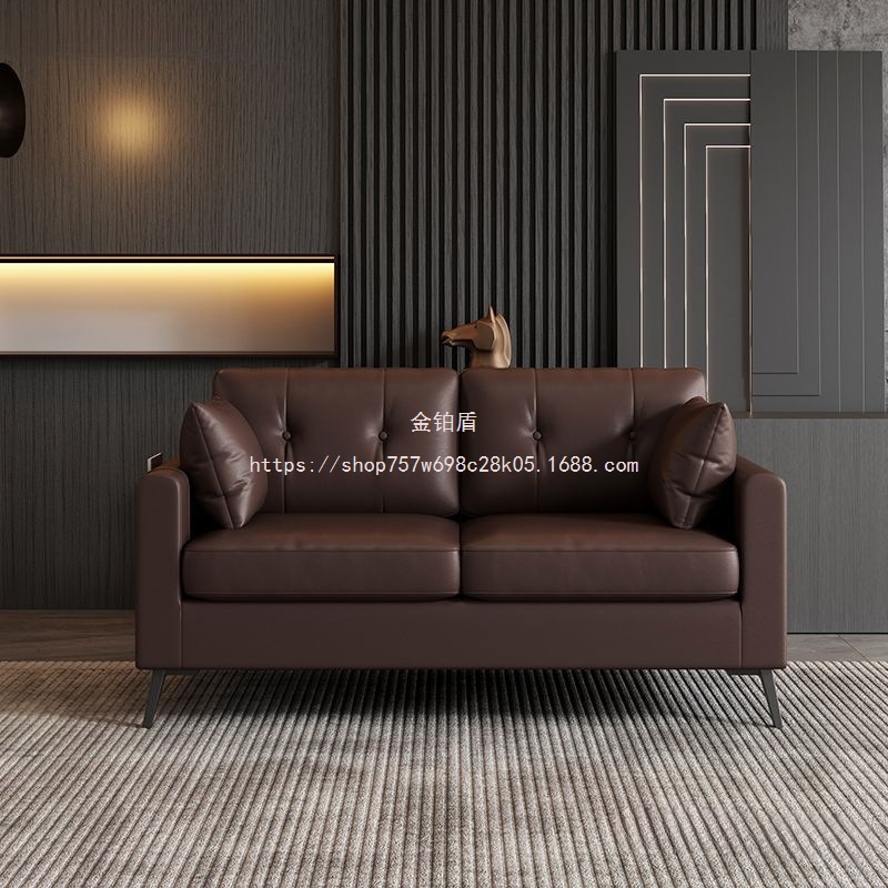 Golden Platinum Shield Small Apartment Home Bedroom Double Sofa Living Room Three-Person Leather Sofa Small Apartment Rental Simple