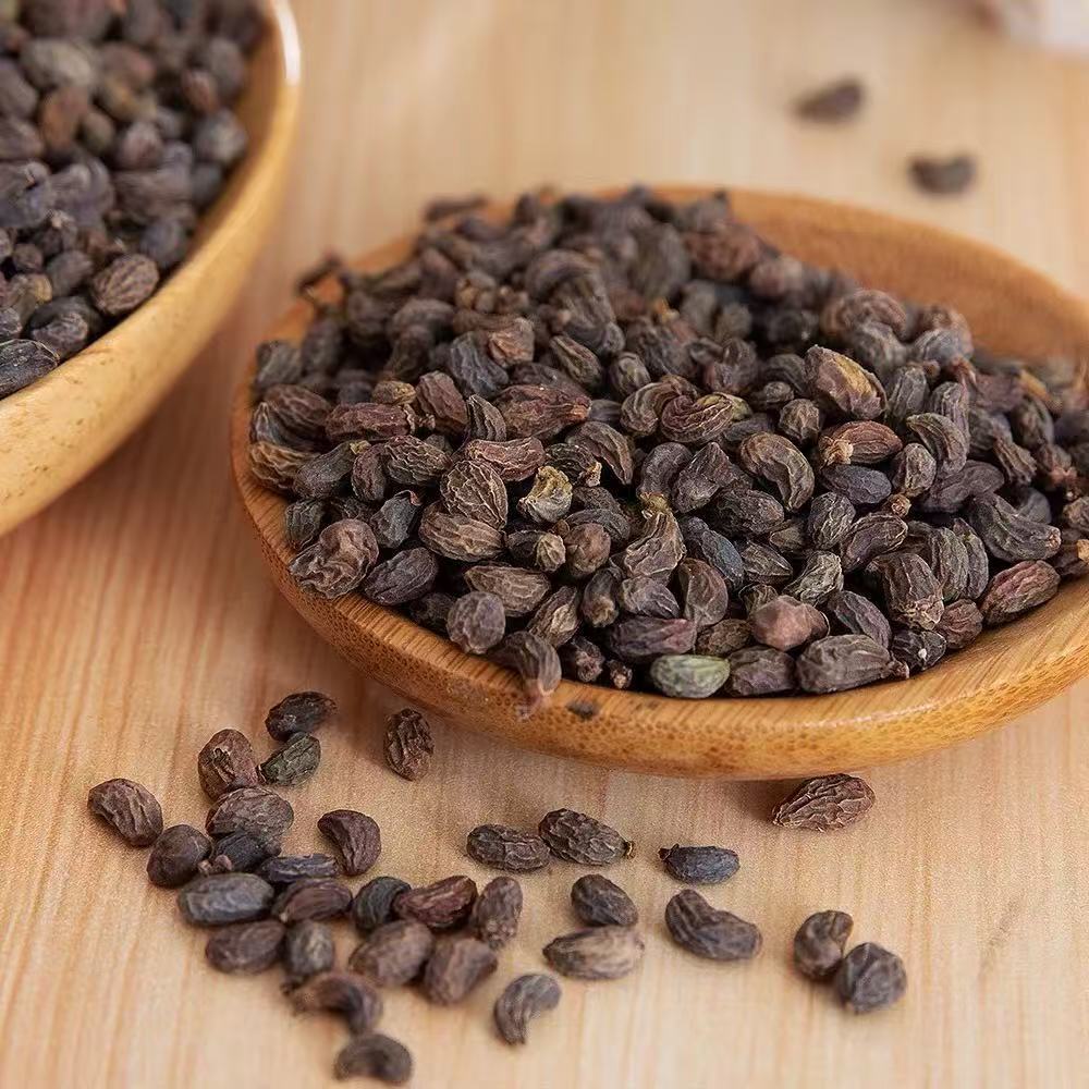 Dried Ligustrum Fruit Nuzhenzi 500g Whole Berries for Herbal Tea and Decoction preparation