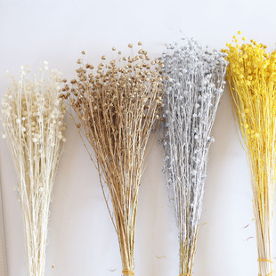 �ɻ���˼�����F���滨���鶹��Ϲ�ˇ�YƷ��ļҾ��b�ܛ�b�廨