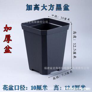 �Ӹ߼Ӻ��ڷ����ϻ����f�����������ʮ���������~�廨��Ǥ����