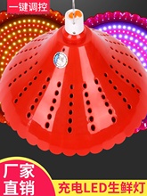 ���led���ݟo��ҹ�Д[�ؔ���������ͣ�ˮ�������r���t�׹ⳬ��