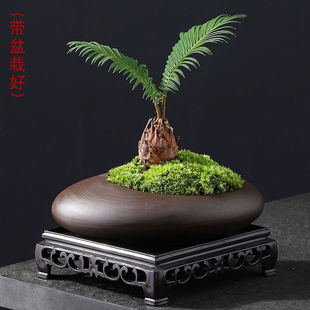 �F��С�����辰���W���愓��Gֲ�K�F����ֲ���҃Ȼ����B����