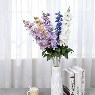 ��֦��z�m���滨 �L�����w��ݼٻ� �̘I���g��ˇ�b�c����