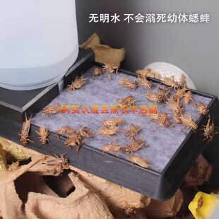 ���ˮ��������^�ͺ��Jϐ���۷����л������x��ˮ����x��
