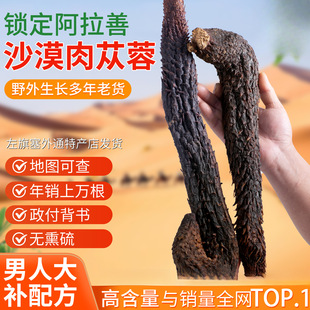 ɳĮ����������޽���ɹ�ɐ��������ܛ��ɳĮ����������޽