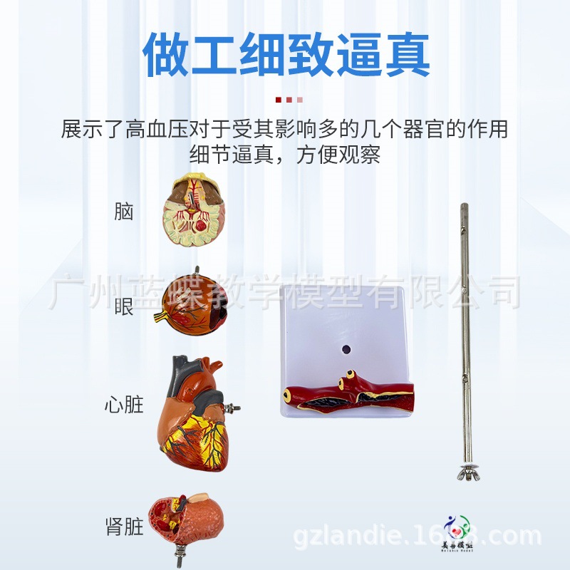 ��/Ѫѹģ�� ����/��������ģ�� ��̬������ ��Ѫѹ��������Ѫ��