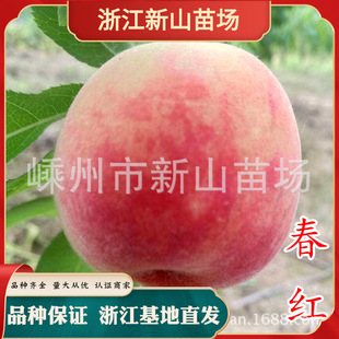 �紺�t���Ҽt��p��93������������������������Ҙ�޽����ش���