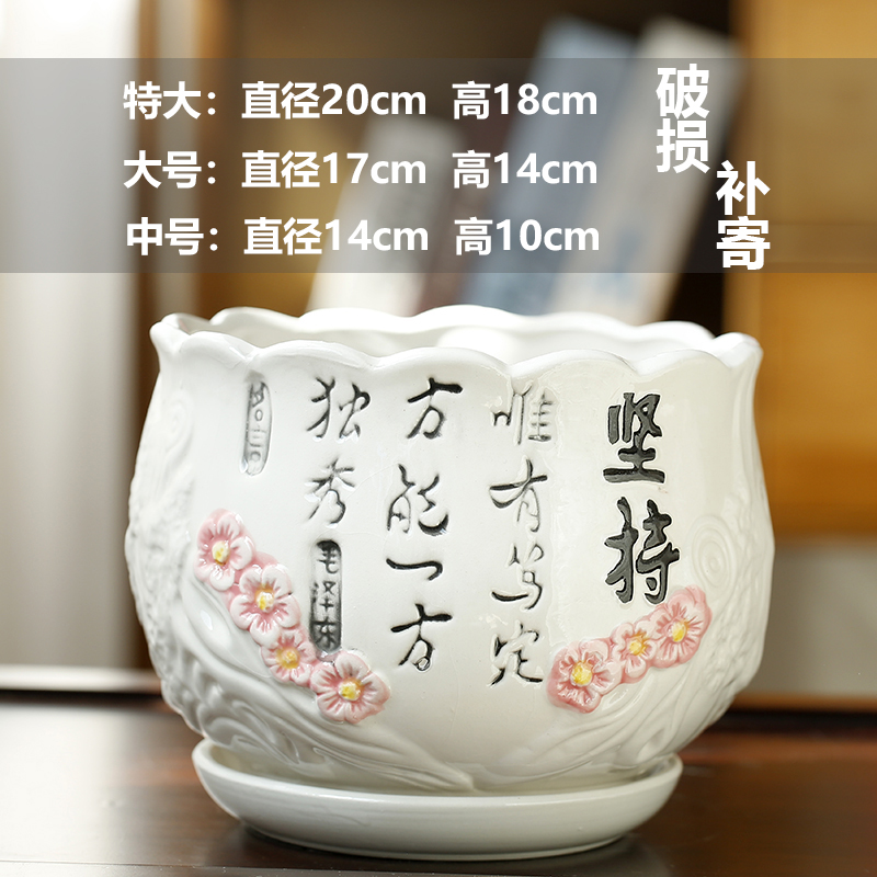 세라믹 - 단일 초대형, 하나의 가지가 독특함 - 그룹