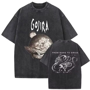 ˮϴ�͹Ž��ٓu�L���Gojira T��Ļ��ǵ�������T����Ů�������