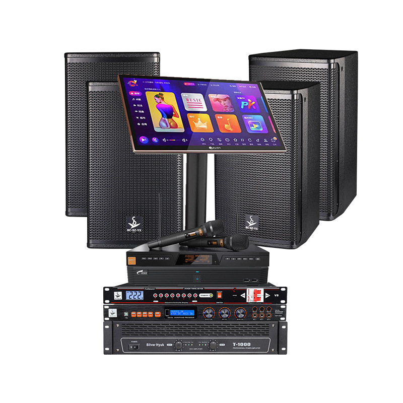 Kit de sonido profesional ktv bar comercial sala de reuniones doméstica sala de baile equipo de sonido conjunto completo