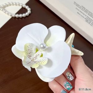 흰불가사리 호접란