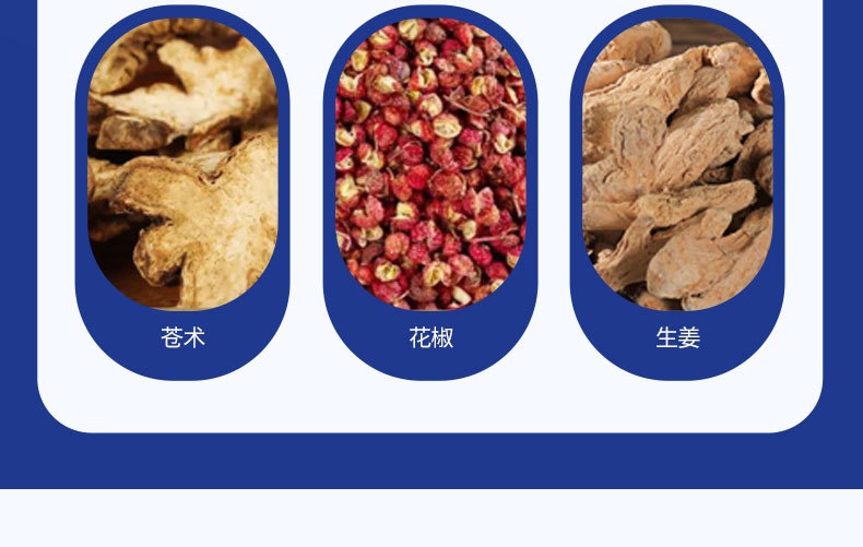 Moxibustion Navel Patch Ai Jiu Du Qi Tie Wormwood Herbal Topical Sticker for Home Use 5 Patches Per Box specifications