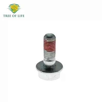 Screw Repair Kit – Other brake systems