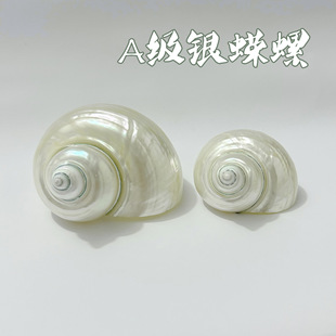 �yϔ�� �y��ҹ���ݼľ�з��Q����̖����ؐ��diy�[����Ȼ����ؐ��