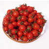 Potted red pearl tomato seeds Four seasons balcony flower pot planting dwarf small tomato seed seed seeds spring and summer season