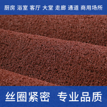 工厂批发pvc塑料地垫入户门口电梯酒店迎宾丝圈脚垫防尘防滑进门