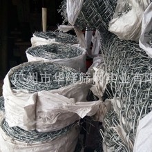 �S�ҹ��������F�� �����̾W �C��С�^���ھW �T�ܴ̾�