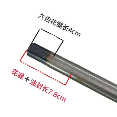 Brake Model, Compatible with 6206 Bearings, Other drive systems