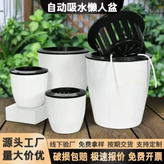 懒人花盆自吸水免浇灌简约水培绿萝多肉圆形双层加厚家用花盆定制