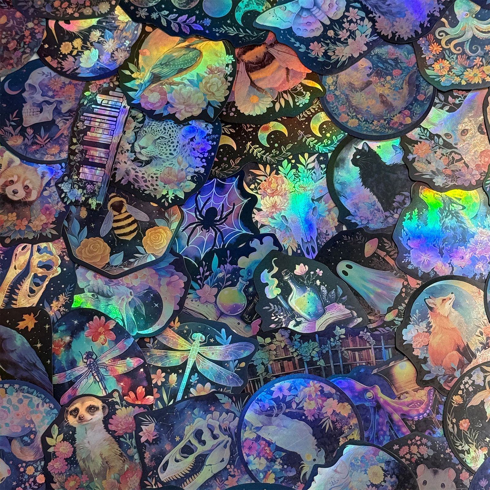 实拍 (1)