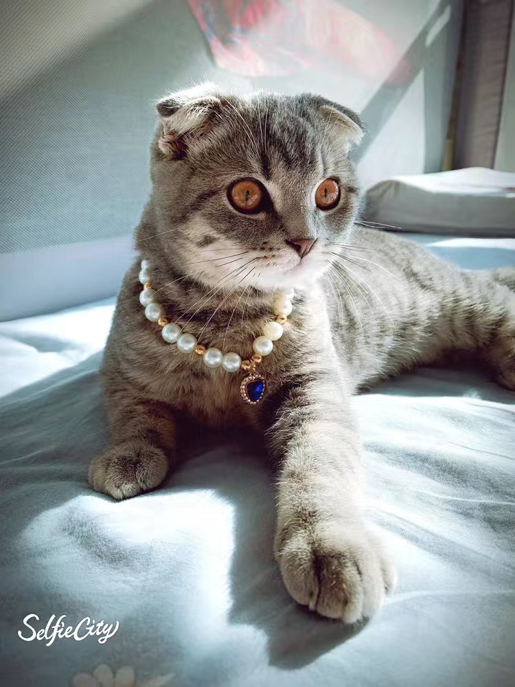 다이아몬드 엣지 하트 [사파이어 블루]