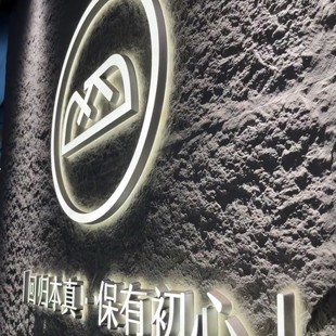 Signboard with Illuminated Letters, Mini Letters on the Door, Stainless Steel Backlit Letters, Resin Letters on the Door