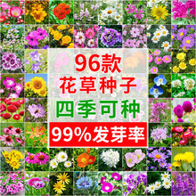 Ұ���M���ļ��_�����ѻ��N����ͥԺ�׷N���ͥ�@ˇ���̾��^���N��