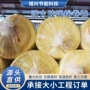 隔热降噪防火离心卷毡