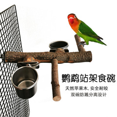 Parrot Stainless Steel Bowl Stand Set Apple Wood Stand Bar Peony Zebra Finch Little Sun Small Bird Cage Interior Supplies