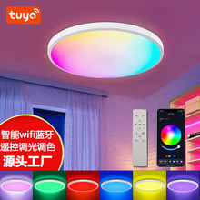 2024年亚马逊新款智能吸顶灯RGBCW调光调色涂鸦APP蓝牙wifi三防灯
