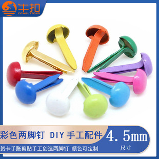 ��ɫ���_� ��ͯ����ֹ��b��Ͽ����R�����~���N��ɫ�p�_�