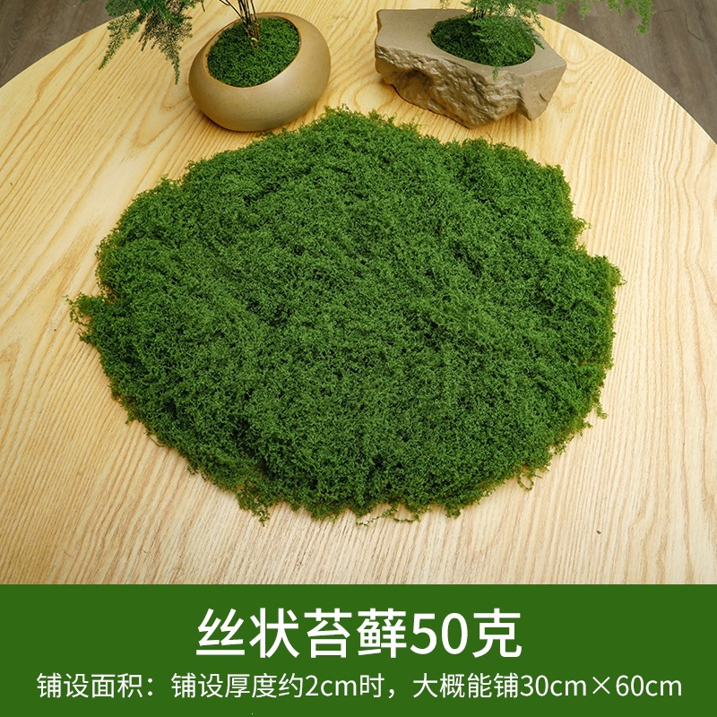 Deep green silk moss 50 grams