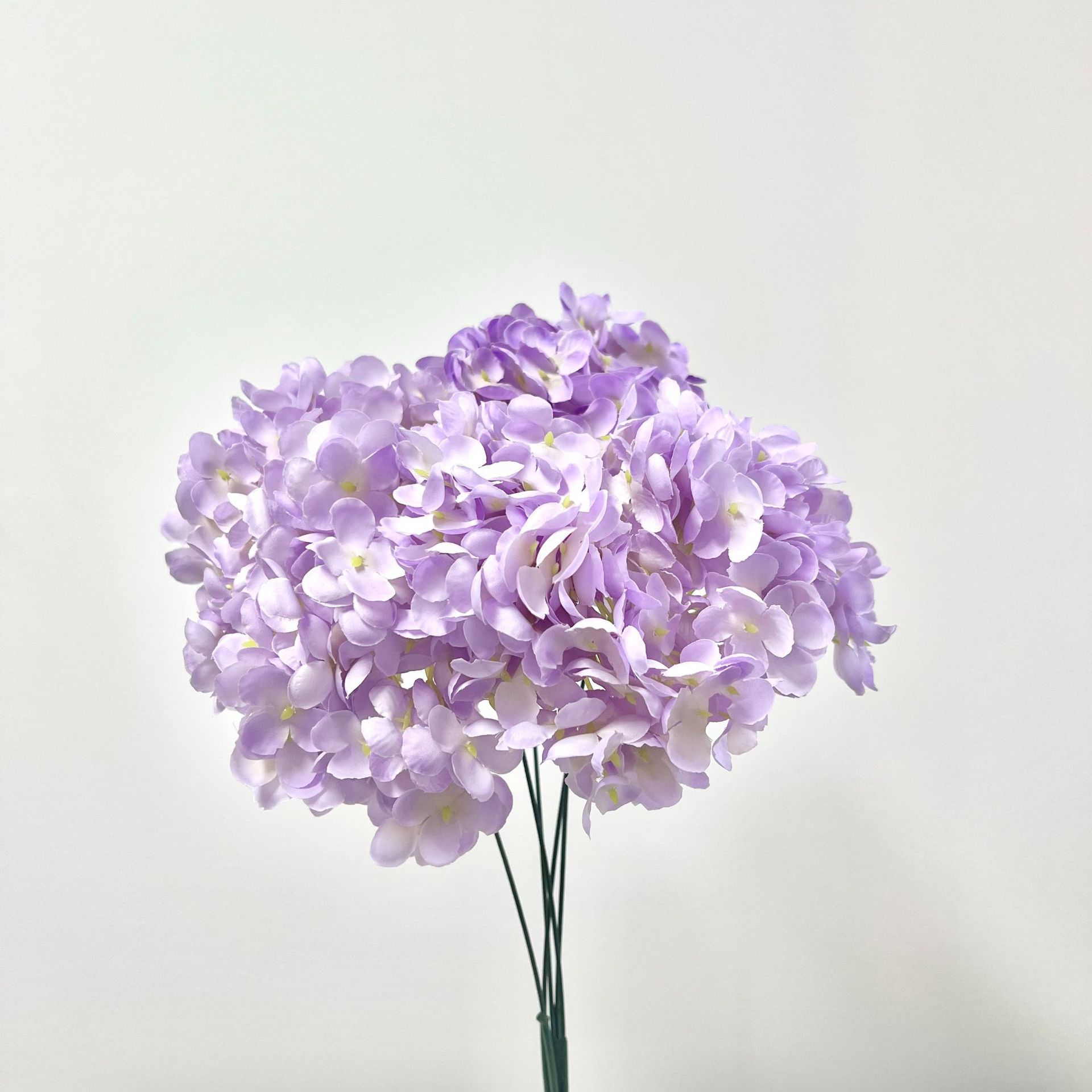 Hortensia de mango Lila No. 1