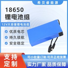 12V�늳ؽM�������ۺ���10AH��ƿ12��LED����􎧑������ƿ