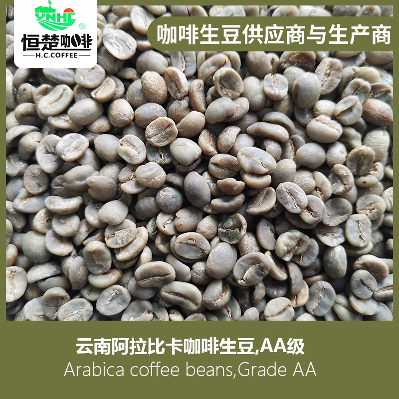 Юньнань Hengchu Allabica кофе сырые бобы, без стирки 17-18 меш, класс AAA, Катим, кофейная фабрика